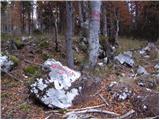 Planina Blato - Planina pod Mišelj vrhom